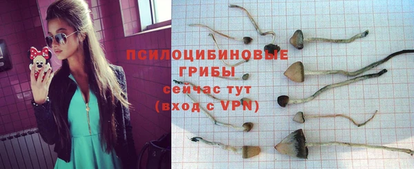 mdpv Верхний Тагил